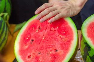 通辽学校吃瓜,揭秘校园里的那些事儿 第2张 通辽学校吃瓜,揭秘校园里的那些事儿 第2张